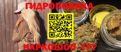 бошки Сланцы