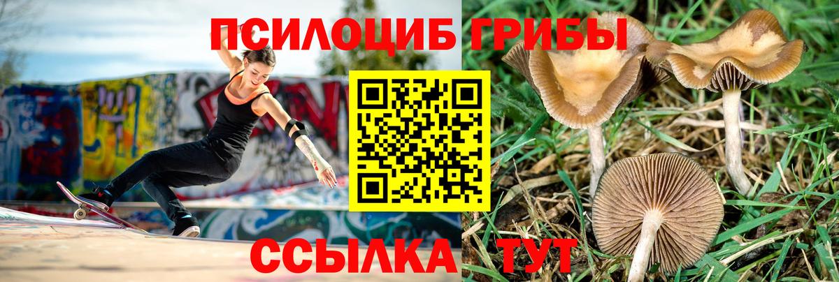 Галлюциногенные грибы GOLDEN TEACHER  Псилоцибиновые грибы MAGIC MUSHROOMS  Вход с VPN  Приморско-Ахтарск 